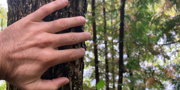 Take a real lunch break